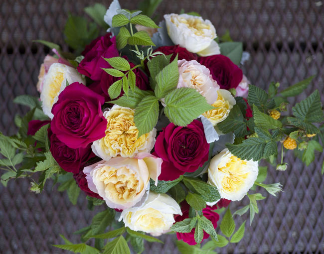 Wedding Wednesday :: David Austin Garden Roses – Flirty Fleurs The ...
