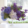 Bella Fiori; Hydrangeas and clematis with mint and blackberries set in a milk glass compote.