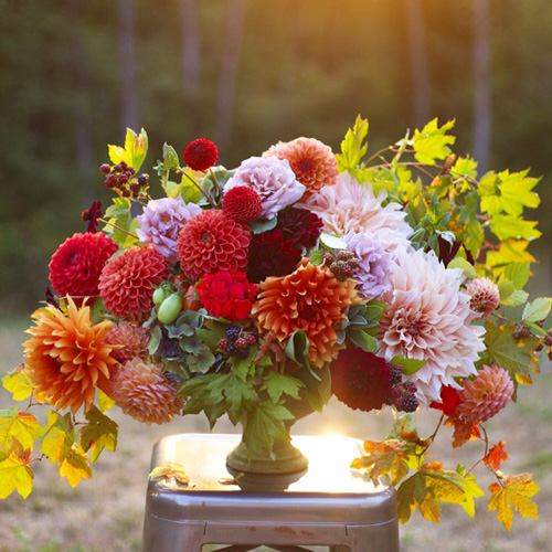 Bella Fiori Dahlia Arrangement