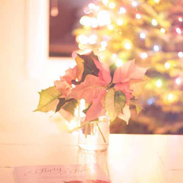 using cut poinsettia stems in floral designs - flirty fleurs florist blog