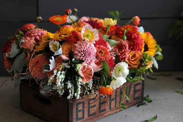 Bare Root Flora - Orange and Coral Bridal Party Bouquets