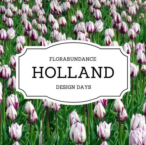 Florabundance Holland Design Days