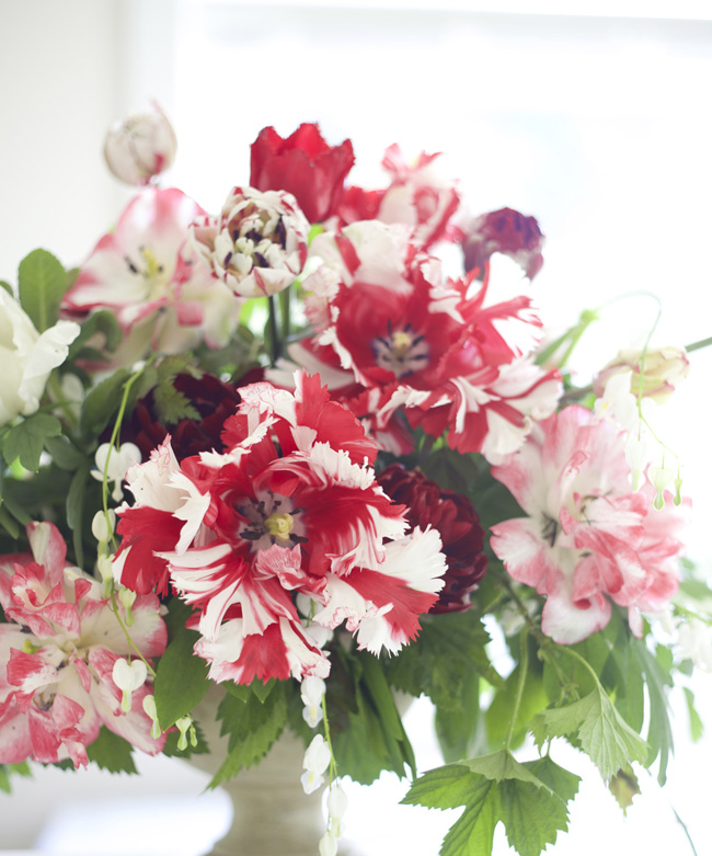 Red and White Parrot Tulips from Longfield Gardens - Designed by Bella Fiori