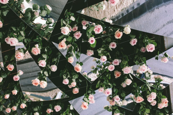 Joseph Massie 'Rosa' Chelsea Flower Show 
