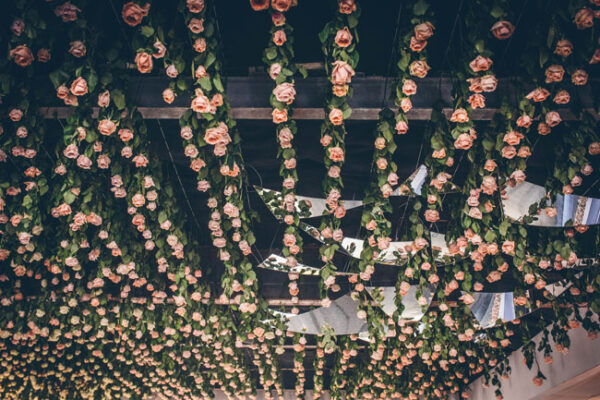 Joseph Massie 'Rosa' Chelsea Flower Show 