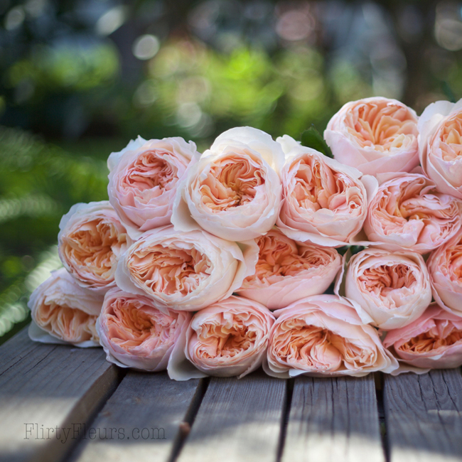 Garden Roses By Alexandra Farms | Flirty Fleurs The Florist Blog