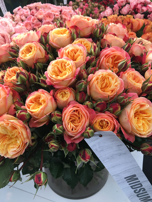 Flowers from Holland - Flirty Fleurs The Florist Blog ...