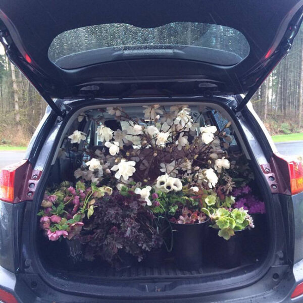 Flirty Fleurs car loaded with flowers for a floral design class in Seattle