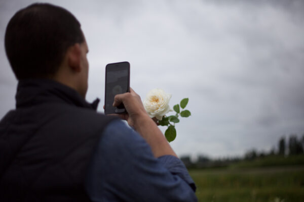 Steve Moore getting a photo of one of the roses
