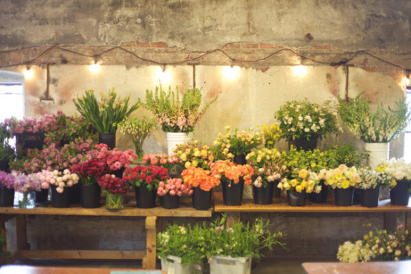 The beautiful spread of flowers at Seattle Wholesale Growers Market for the workshop with Ariella Chezar