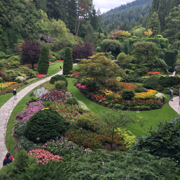 Butchart Gardens is absolutely breathtaking. 