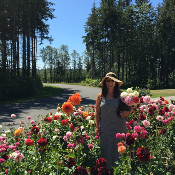 Amy of Gather came by to check out the dahlia patch