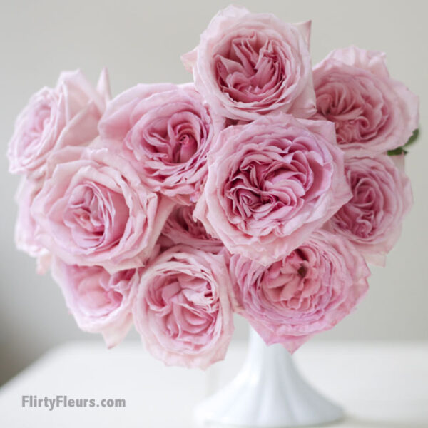 Flirty Fleurs Pink Garden Roses Study with Alexandra Farms -  Pink O'hara garden rose