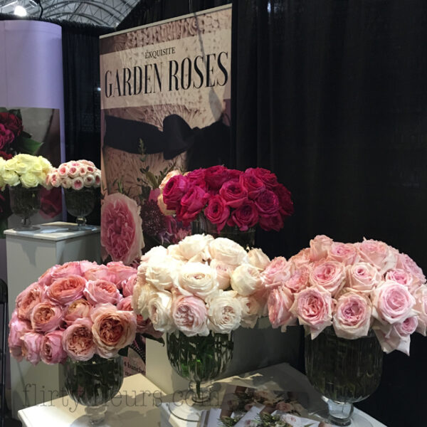 Garden Roses Direct booth at World Floral Show in Las Vegas