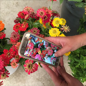 instagram to build floral design business