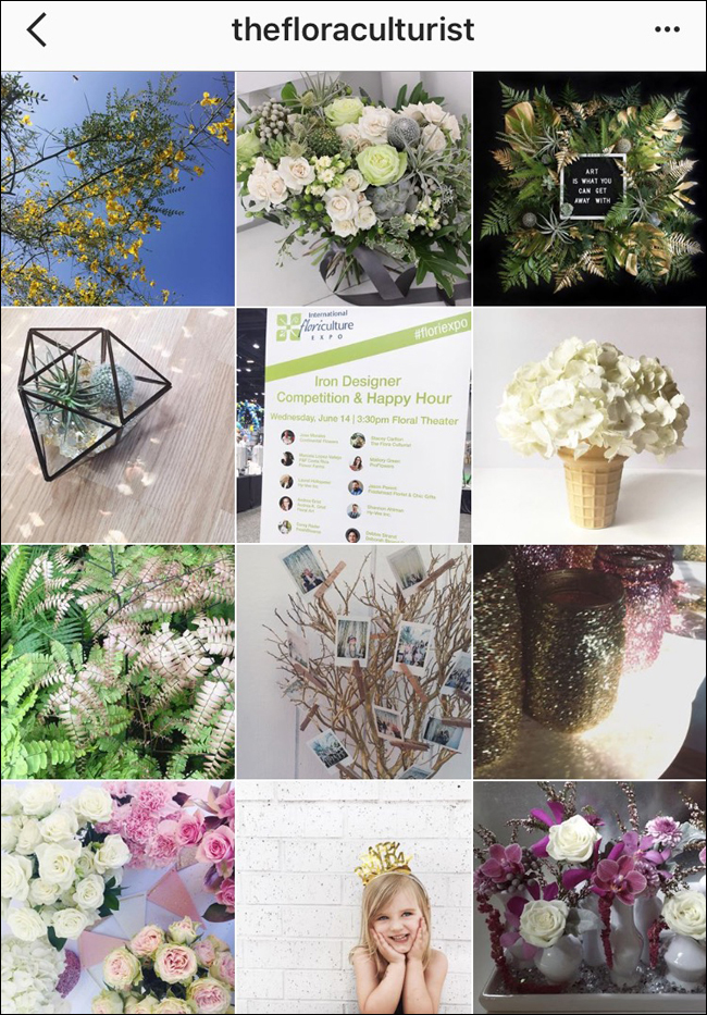 Stacey Carlton AIFD, The Flora Culturist - AIFD Designers to Follow on Social Media