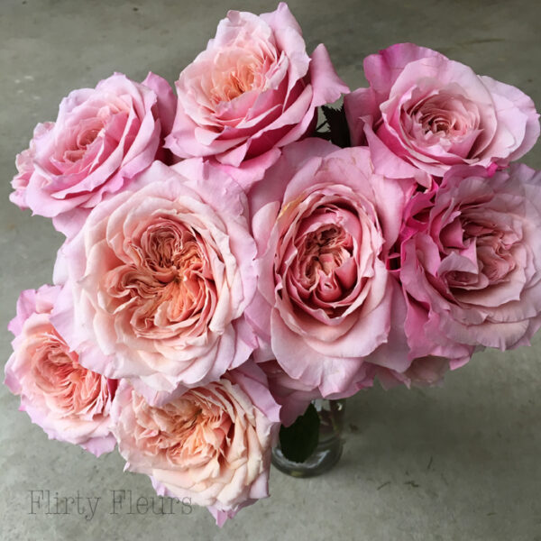 Alexandra Garden Roses – Flirty Fleurs The Florist Blog – Inspiration ...