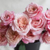 Miyabi Garden Roses by Alexandra Roses, Photographed by Flirty Fleurs