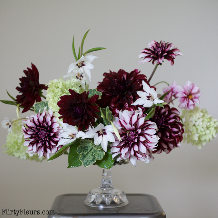 Bella Fiori Centerpiece with Longfield Gardens.  Morning collection from the garden, still a bit damp from the rain showers. Do you all know how pleasant smelling acidanthera is?! I had no idea until I cut a handful and brought them inside! Dahlias include Tartan, Rip City, and Edge of Joy. Dahlias and Acidanthera from @longfieldgardens