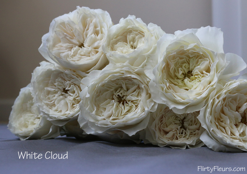 The White Garden Rose Study With Alexandra Farms Flirty Fleurs The Florist Blog Inspiration For Floral Designers