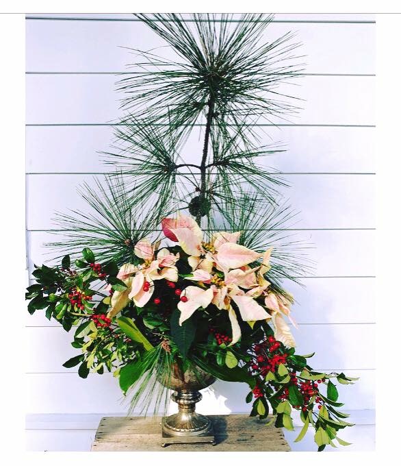 Melissa Florence FarmCity Flowers  Beaufort, SC - floral design with a poinsettia and pine