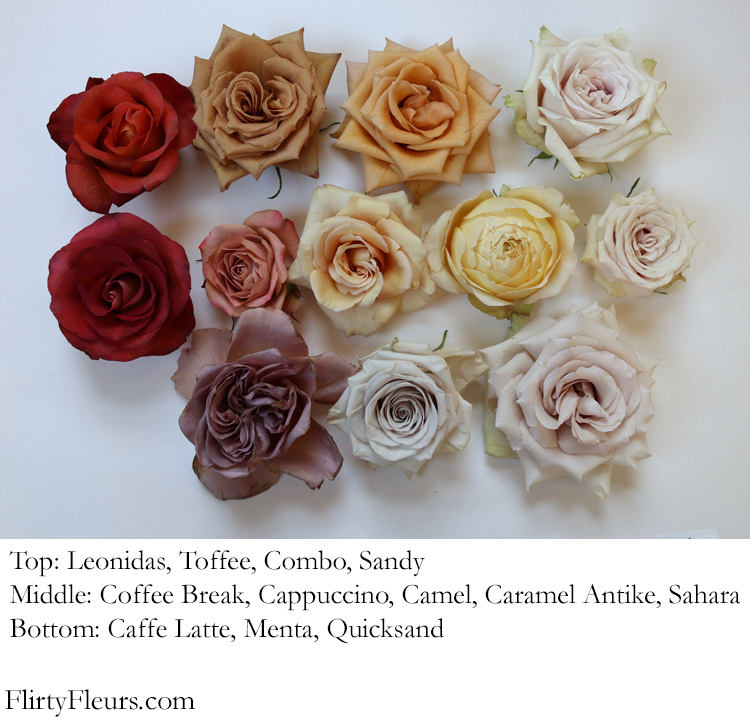 Flirty Fleurs Beige to Brown Rose Color Study with Mayesh Roses