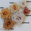 Flirty Fleurs Rose Study - Combo Camel Sahara Toffee Quicksand Cappuccino Brown Rose Study with roses from Mayesh Wholesale