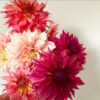 flirty fleurs cutting garden of dahlias copy