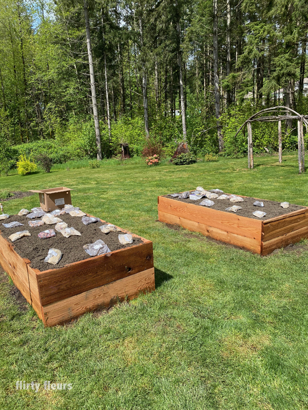 building flower boxes for a cutting garden, gardening in Washington State, Alicia Schwede of Flirty Fleurs cutting garden
