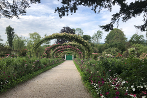 claude monet's flower garden in france - Giverny