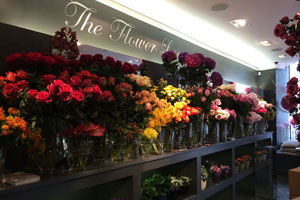 Neill Strain's Flower Shop in London England