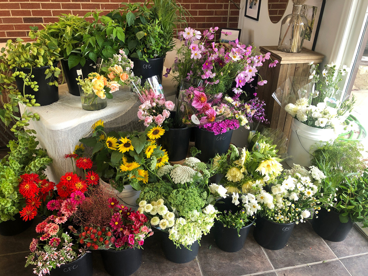 Colorado Flower Collective - Bunches of flowers from farmers to florists