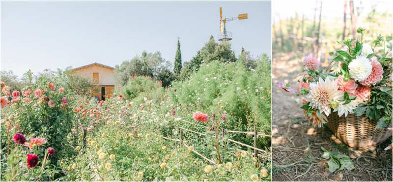 Lena Karelova Photography - Horta De Viola