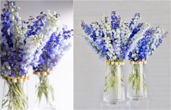 Joseph Massie - How To Tutorial Floral Design Delphinium Arrangement