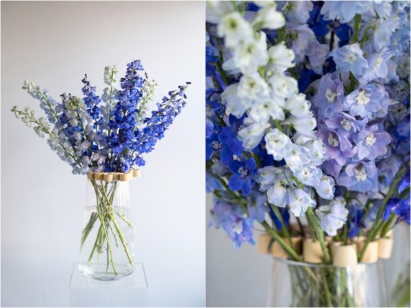 Joseph Massie Delphinium Arrangements