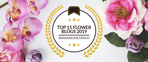 The Top 14 Floral Accounts To Follow On Instagram