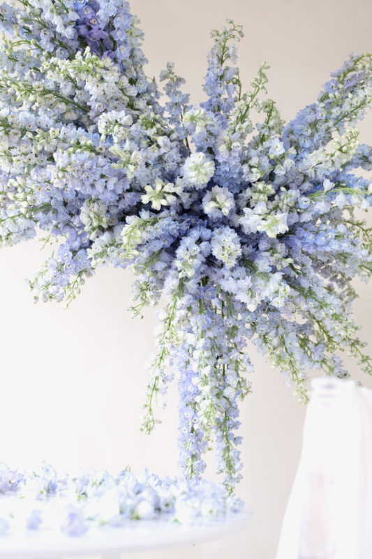 Joseph Massie - Blue delphinium hanging flower arrangement