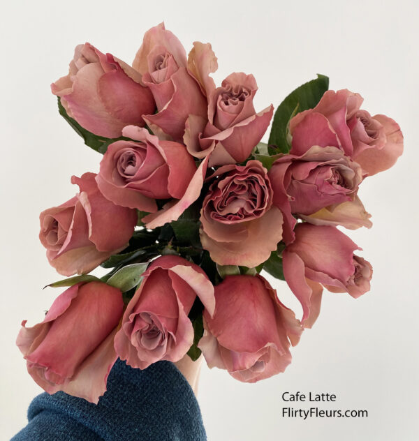 Flirty Fleurs Rose Color Study Cafe Latte - Day 1 upon arrival