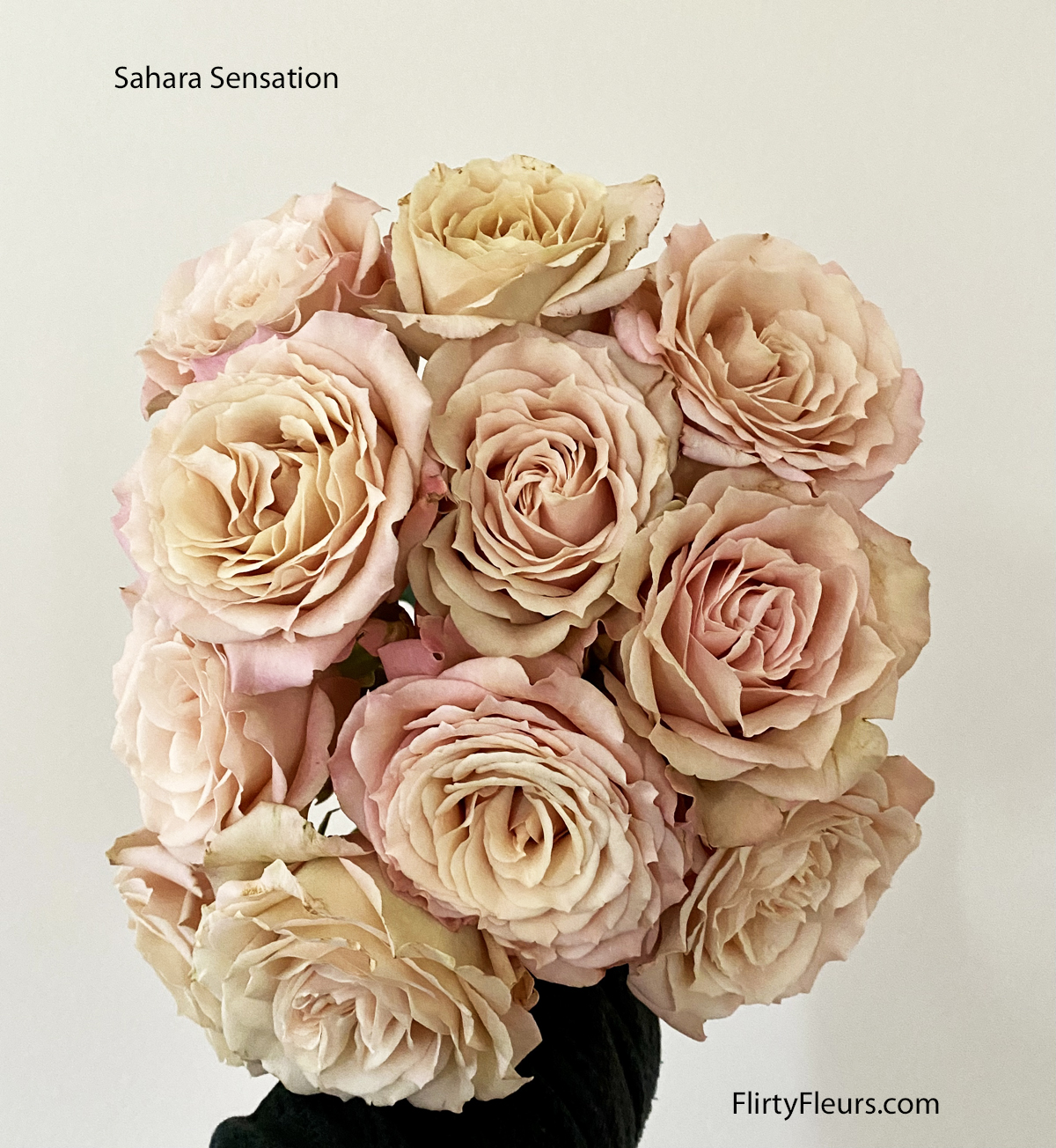 Rose Color Study – Dusty Mauve Roses – Flirty Fleurs The Florist Blog ...