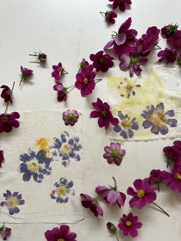 Seed & Silk - botanical hand-dyed silk