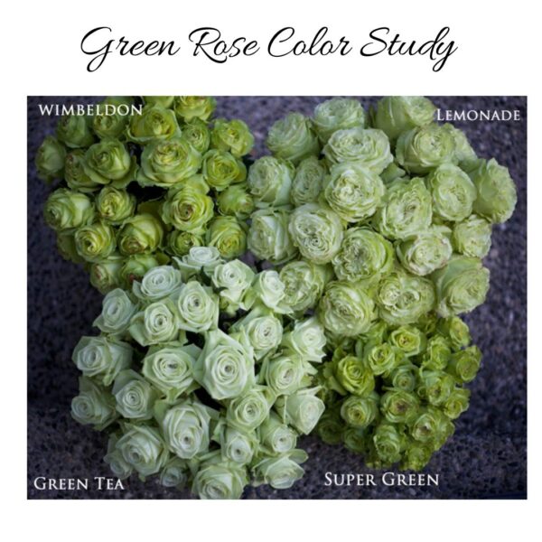 green rose color study on flirty fleurs