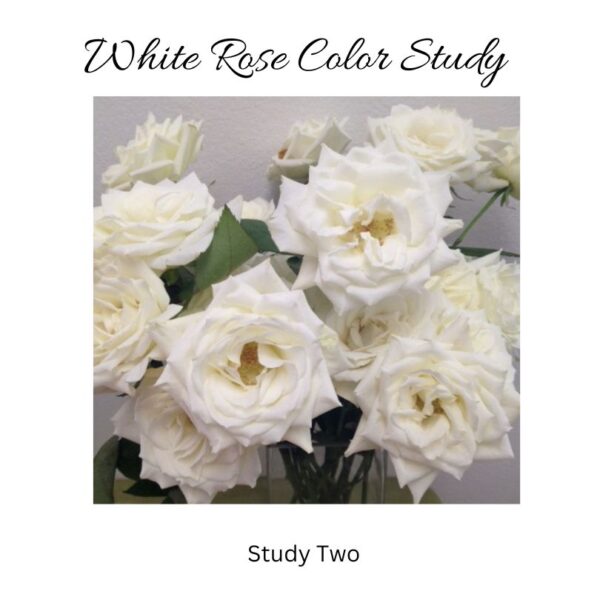 white rose color study on flirty fleurs