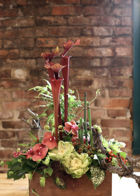 Fiori Floral Design Texture Box Seattle Florist Fleurs Creative Snohomish Art Showcase 2023