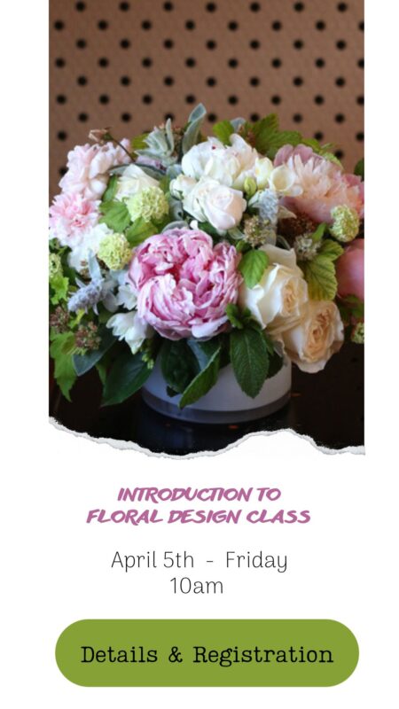introduction to floral design, flower arranging class in snohomish washington seattle