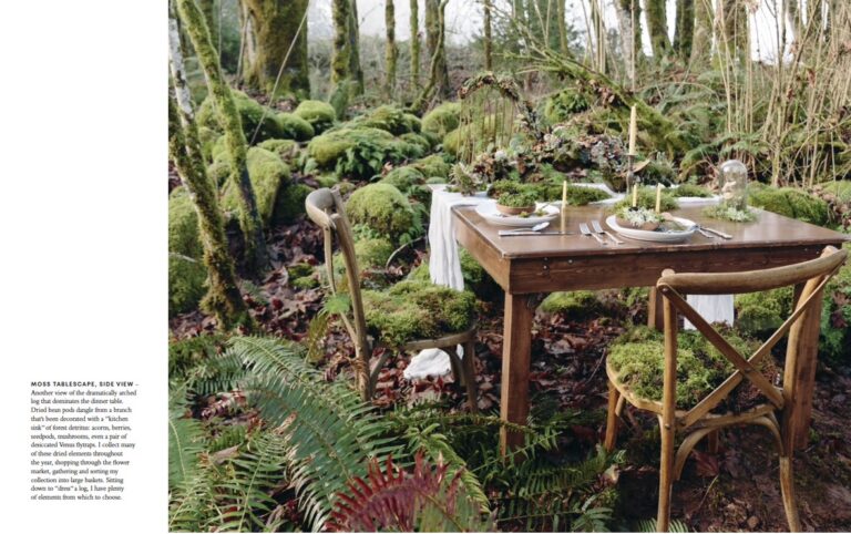 Francoise Weeks, page from Wonder of the Woodlands - a botanical table set in the woods