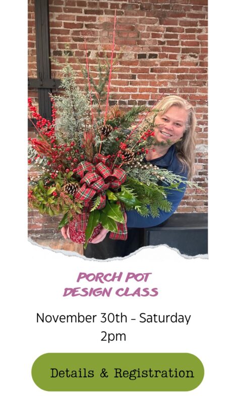 floral design class in snohomish washington where you'll create a Porch Pot for holiday Christmas decor front porch