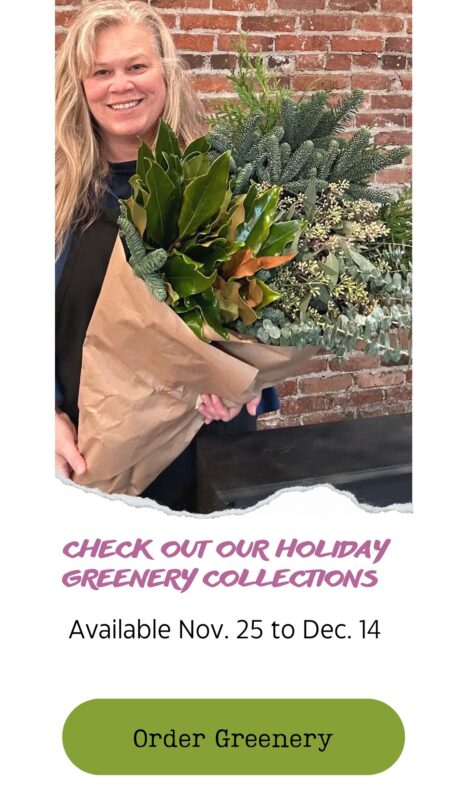 Order greenery and foliages for holiday Christmas decorations, snohomish washington