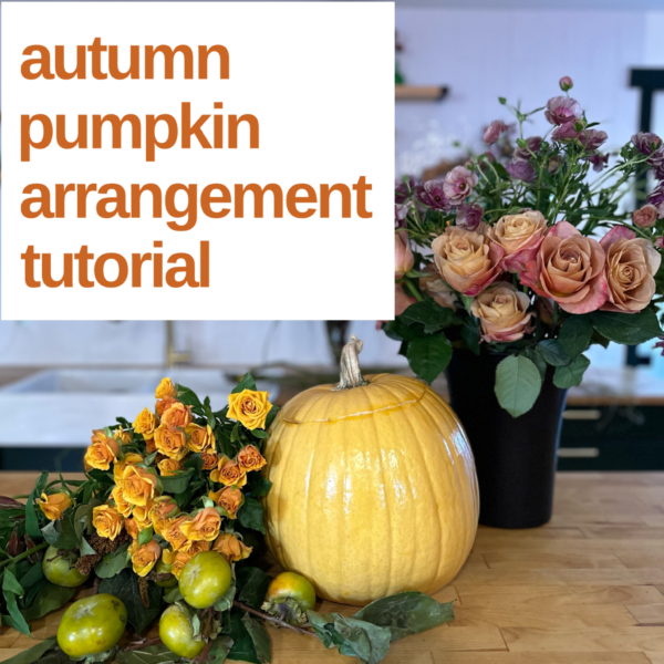 online tutorial video on how to arrange flowers into a real pumpkin