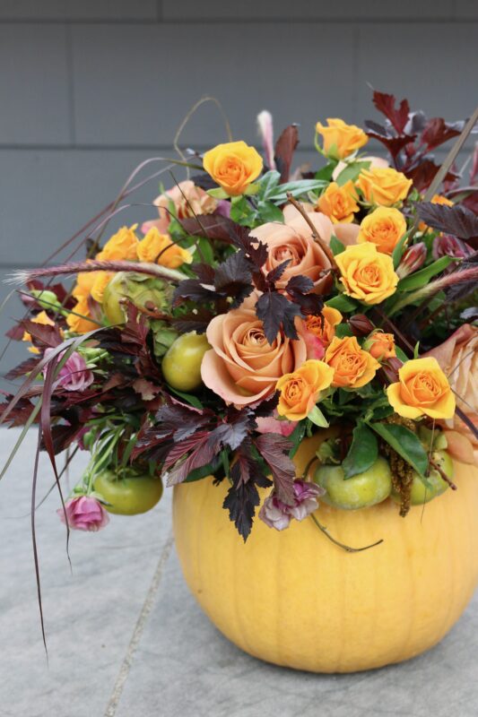 online floral tutorial on arranging flowers in a pumpkin with alicia schwede flirty fleurs