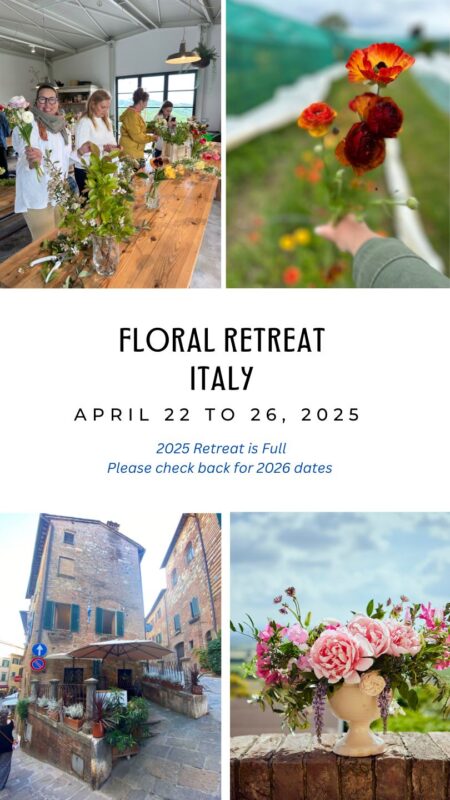 Alicia Schwede's floral designer retreat in Tuscany Italy at Puscina Flower Farm.